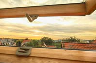 rated Wybers Wood roof window companies